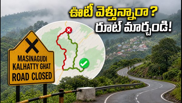 Ooty Travel Alert 2026: Masinagudi-Kalhatti Ghat Road Restrictions and Best Alternative Routes Ooty Travel Alert 2026: Masinagudi-Kalhatti Ghat Road Restrictions and Best Alternative Routes
