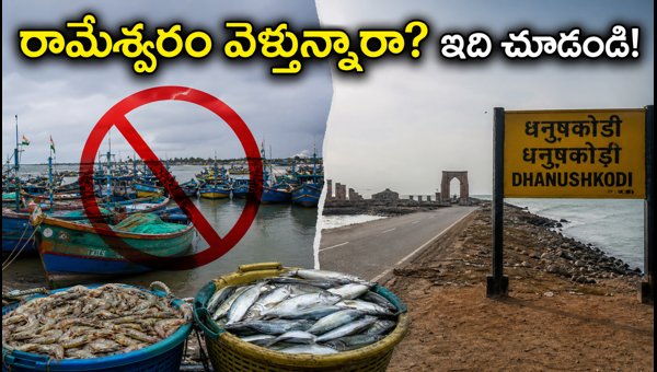 Rameswaram Fishermen Strike 2026: Essential Travel Updates and Tips for Pilgrims Visiting This July