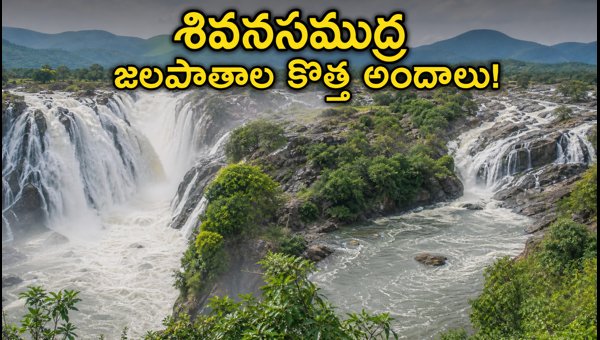 Shivanasamudra Waterfalls 2026: Travel Guide, Safety Tips, and Best Weekend Trip Plan Shivanasamudra Waterfalls 2026: Travel Guide, Safety Tips, and Best Weekend Trip Plan