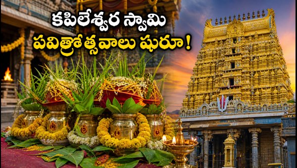 Sri Kapileswara Swamy Temple Pavitrotsavams 2026: Schedule, Darshan Timings, and Rituals Guide Sri Kapileswara Swamy Temple Pavitrotsavams 2026: Schedule, Darshan Timings, and Rituals Guide