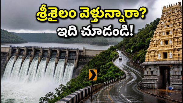 Srisailam Travel Guide 2026: Forest Gate Timings, Dam Updates & Darshan Schedule for Pilgrims Srisailam Travel Guide 2026: Forest Gate Timings, Dam Updates & Darshan Schedule for Pilgrims