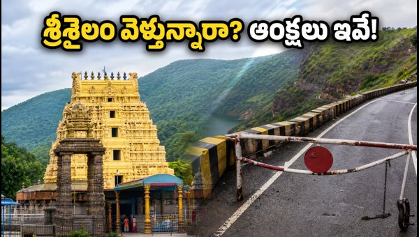 Srisailam Travel Guide 2026: Monsoon Restrictions, Ghat Road Rules, and NSTR Safari Closure Updates