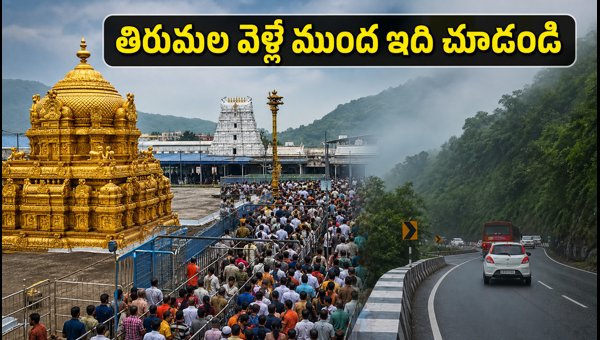 Tirumala Crowd Update 2026: TTD Darshan Waiting Times, SSD Tokens, and Travel Tips for Pilgrims Tirumala Crowd Update 2026: TTD Darshan Waiting Times, SSD Tokens, and Travel Tips for Pilgrims