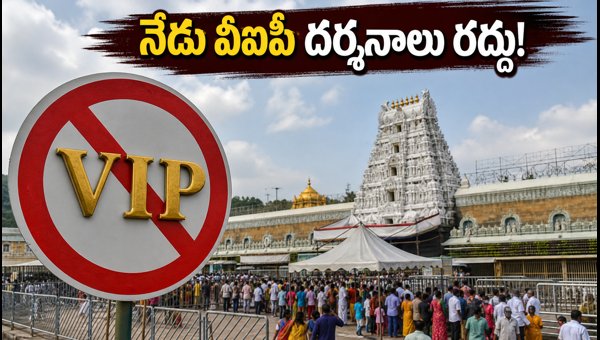 Tirumala VIP Break Darshan Cancelled Today: TTD Guidelines for Pilgrims on July 29, 2026