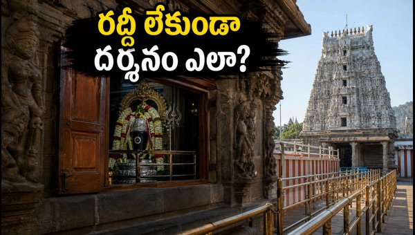 Tiruvannamalai Arunachaleswarar Temple Ashadha Masam Darshan 2026: Timings, Entry Gates & Travel Tips Tiruvannamalai Arunachaleswarar Temple Ashadha Masam Darshan 2026: Timings, Entry Gates & Travel Tips