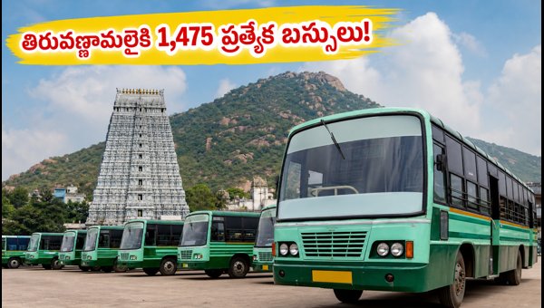 Tiruvannamalai Special Buses 2026: TNSTC Weekend Travel Guide and Darshan Tips