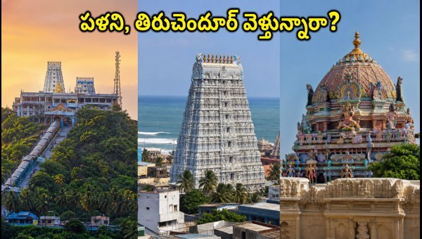 Aadi Krithigai and Aadi Velli 2026: Essential Travel and Darshan Tips for South Indian Temples