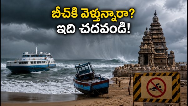 Beach Safety Tips for Weekend: Essential Weather Alerts and Coastal Precautions for August 2026 Beach Safety Tips for Weekend: Essential Weather Alerts and Coastal Precautions for August 2026