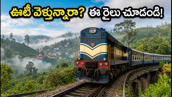 Chennai-Podanur Special Train Last Service Today: Booking Tips for Ooty Travelers (August 2024) Chennai-Podanur Special Train Last Service Today: Booking Tips for Ooty Travelers (August 2024)