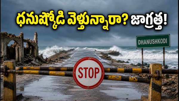 Dhanushkodi Travel Guide 2026: Sea Alerts, Ramanathaswamy Temple Timings & Safety Tips Dhanushkodi Travel Guide 2026: Sea Alerts, Ramanathaswamy Temple Timings & Safety Tips