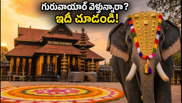 Guruvayur Temple Onam Darshan Update 2026: New Timings, Queue Rules, and Travel Guide for Devotees Guruvayur Temple Onam Darshan Update 2026: New Timings, Queue Rules, and Travel Guide for Devotees