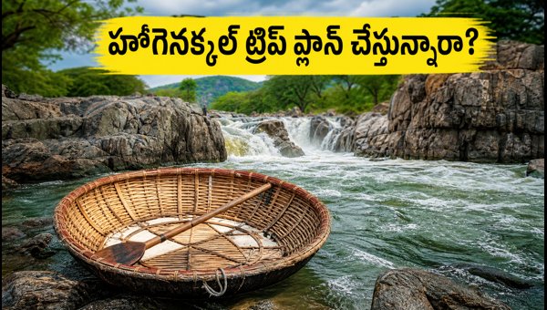 Hogenakkal Falls Travel Alert 2026: Coracle Rides Banned, Best Alternatives for Weekend Trips