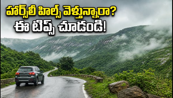 Horsley Hills Monsoon Trip Guide 2026: Essential Travel Tips for Hyderabad Travelers to Plan a Perfect Weekend Horsley Hills Monsoon Trip Guide 2026: Essential Travel Tips for Hyderabad Travelers to Plan a Perfect Weekend