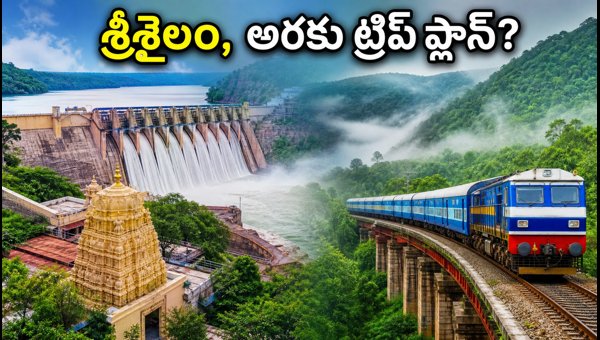 IRCTC Tour Packages 2026: How to Book Srisailam and Araku Valley Trips Easily IRCTC Tour Packages 2026: How to Book Srisailam and Araku Valley Trips Easily