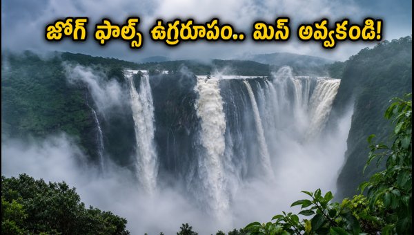 Jog Falls Travel Guide 2026: Best Routes, Timing, and Tips for Bangalore to Jog Falls Trip Jog Falls Travel Guide 2026: Best Routes, Timing, and Tips for Bangalore to Jog Falls Trip