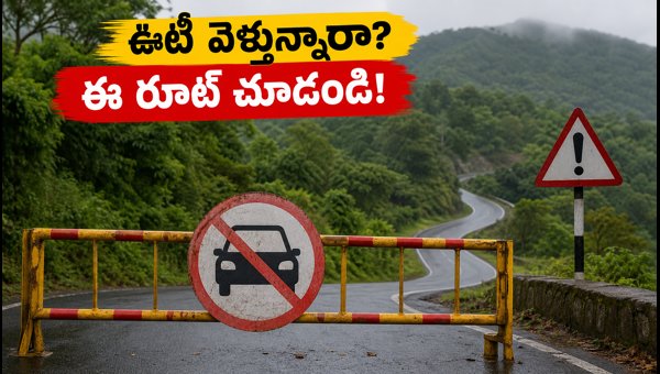 Masinagudi-Kalhatti Ghat Road Closed: Essential Ooty Travel Guide and Route Diversion Tips for 2026 Masinagudi-Kalhatti Ghat Road Closed: Essential Ooty Travel Guide and Route Diversion Tips for 2026