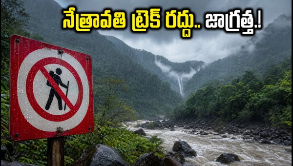 Netravati Trekking Cancelled in Chikmagalur: Important Safety Updates for Tourists (August 2026)