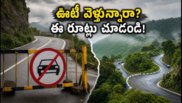 Ooty Road Trip 2026: Kalhatti Ghat Road Closure, Traffic Updates & Travel Guide Ooty Road Trip 2026: Kalhatti Ghat Road Closure, Traffic Updates & Travel Guide
