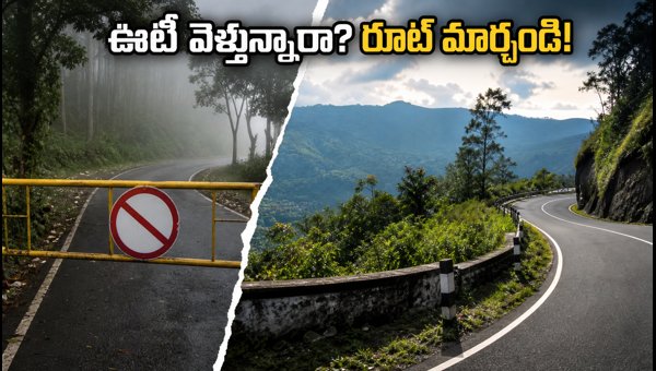Ooty Travel Advisory: Kalhatti Road Closed, Best Alternative Routes for Tourists 2026 Ooty Travel Advisory: Kalhatti Road Closed, Best Alternative Routes for Tourists 2026