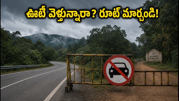Ooty Travel Alert: Kalhatti Ghat Road Closed for Independence Day Weekend, Best Alternative Routes Ooty Travel Alert: Kalhatti Ghat Road Closed for Independence Day Weekend, Best Alternative Routes