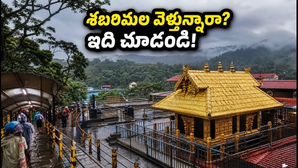 Sabarimala Temple Opening 2026: Essential Travel Guide, Virtual Queue, and Darshan Rules for Pilgrims Sabarimala Temple Opening 2026: Essential Travel Guide, Virtual Queue, and Darshan Rules for Pilgrims