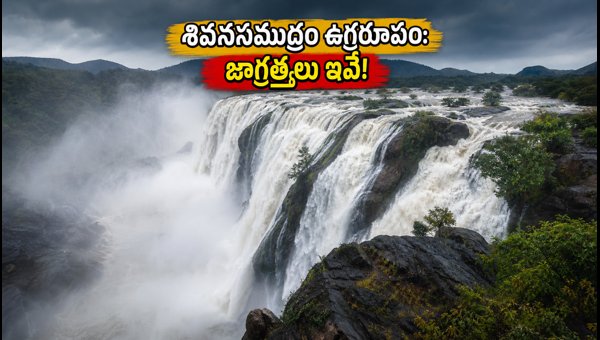 Shivanasamudra Falls 2026: Best Travel Guide, Route Tips, and Safety Advice from Bangalore Shivanasamudra Falls 2026: Best Travel Guide, Route Tips, and Safety Advice from Bangalore