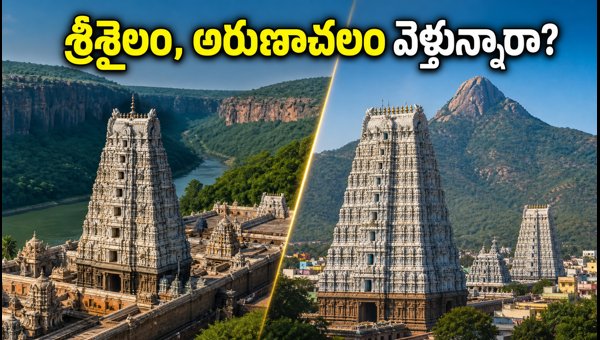 Srisailam and Arunachalam Travel Guide 2026: Darshan Timings, Road Rules, and Tips for Shravana Somavaram Srisailam and Arunachalam Travel Guide 2026: Darshan Timings, Road Rules, and Tips for Shravana Somavaram