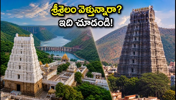 Srisailam and Arunachalam Travel Guide 2026: Essential Tips for August Long Weekend Rush Srisailam and Arunachalam Travel Guide 2026: Essential Tips for August Long Weekend Rush