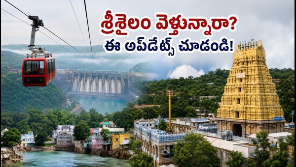 Srisailam Temple Darshan Guide 2026: Ropeway Updates, Timings, and Travel Tips for Pilgrims Srisailam Temple Darshan Guide 2026: Ropeway Updates, Timings, and Travel Tips for Pilgrims