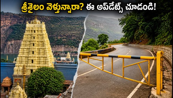 Srisailam Temple Travel Guide 2026: Forest Gate Timings, Darshan Slots, and Safety Tips for Pilgrims Srisailam Temple Travel Guide 2026: Forest Gate Timings, Darshan Slots, and Safety Tips for Pilgrims