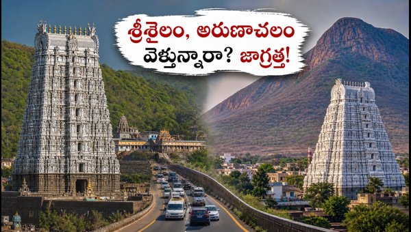 Srisailam and Tiruvannamalai Travel Guide 2026: Darshan Timings, Forest Rules, and Route Updates