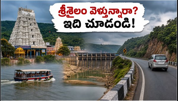 Srisailam Trip Guide August 2026: Darshan Timings, Ropeway, and Forest Check-Post Rules Srisailam Trip Guide August 2026: Darshan Timings, Ropeway, and Forest Check-Post Rules