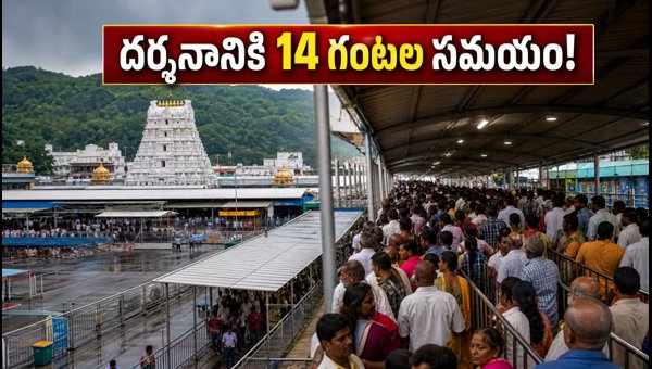 Tirumala Crowd Status August 2026: TTD Darshan Waiting Time and Travel Updates Tirumala Crowd Status August 2026: TTD Darshan Waiting Time and Travel Updates