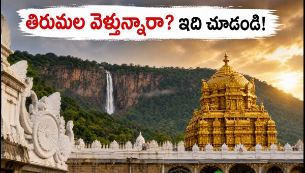 Tirumala Darshan Rush Update: August 2026 Weekend Crowd Status and Travel Tips Tirumala Darshan Rush Update: August 2026 Weekend Crowd Status and Travel Tips
