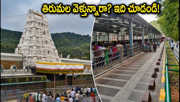 Tirumala Darshan Rush Update: Essential Tips for Pilgrims Visiting During Independence Day Weekend 2026 Tirumala Darshan Rush Update: Essential Tips for Pilgrims Visiting During Independence Day Weekend 2026