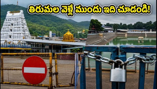 Tirumala Garuda Panchami 2026: TTD Darshan Timings, Queue Updates, and Travel Guidelines for Devotees Tirumala Garuda Panchami 2026: TTD Darshan Timings, Queue Updates, and Travel Guidelines for Devotees