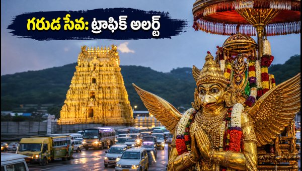Tirumala Garuda Seva 2026: Traffic Restrictions, Darshan Timings, and Travel Guide for Devotees Tirumala Garuda Seva 2026: Traffic Restrictions, Darshan Timings, and Travel Guide for Devotees