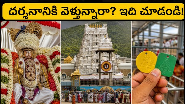 Tirumala Pavithrotsavam 2026: TTD Darshan Updates, SSD Token Guide, and Travel Tips for Devotees Tirumala Pavithrotsavam 2026: TTD Darshan Updates, SSD Token Guide, and Travel Tips for Devotees