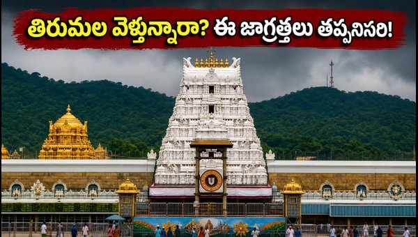 Tirumala Purnima Rush 2026: TTD Darshan Updates, SSD Tokens, and Travel Guidelines