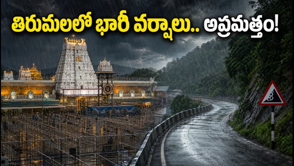 Tirumala Rains Alert 2026: TTD Guidelines and Darshan Updates for Pilgrims Tirumala Rains Alert 2026: TTD Guidelines and Darshan Updates for Pilgrims