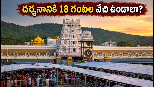 Tirumala Temple Rush 2026: 18-Hour Waiting Time for Srivari Darshan Updates Tirumala Temple Rush 2026: 18-Hour Waiting Time for Srivari Darshan Updates