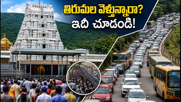 Tirumala Tirupati Darshan Updates: Varalakshmi Vratam Rush, Walking Paths & Travel Guide 2026 Tirumala Tirupati Darshan Updates: Varalakshmi Vratam Rush, Walking Paths & Travel Guide 2026