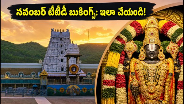 TTD November Darshan and Accommodation Booking 2026: Complete Guide, Release Dates, and Essential Tips TTD November Darshan and Accommodation Booking 2026: Complete Guide, Release Dates, and Essential Tips