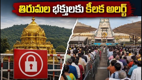 TTD Tirumala Alert: Koil Alwar Tirumanjanam Darshan Changes and Brahmotsavam Updates 2026