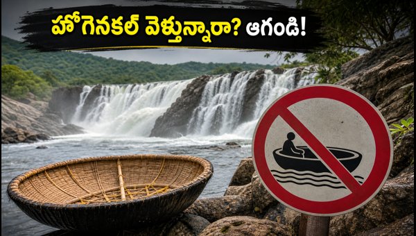 Bangalore Weekend Trip: Hogenakkal Boating Banned, Best Monsoon Alternatives to Visit in 2026 Bangalore Weekend Trip: Hogenakkal Boating Banned, Best Monsoon Alternatives to Visit in 2026