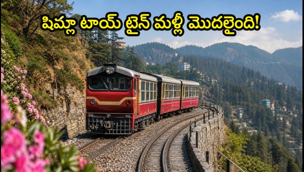 Kalka-Shimla Toy Train Services 2026: Dharampur-Shimla Shuttle Schedule and Travel Tips Kalka-Shimla Toy Train Services 2026: Dharampur-Shimla Shuttle Schedule and Travel Tips