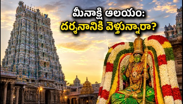 Madurai Meenakshi Temple Avani Moola Festival 2026: Darshan Timings and Pattabhishekam Guide