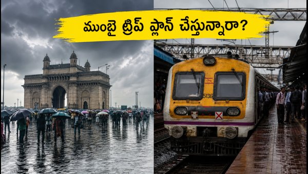 Mumbai Weekend Travel Alert: Rain, High Tide, and Mega Block Updates for Sept 12-13, 2026 Mumbai Weekend Travel Alert: Rain, High Tide, and Mega Block Updates for Sept 12-13, 2026