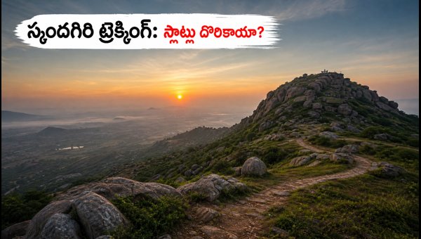 Skandagiri Sunrise Trekking Guide 2026: Booking Slots, Rules, and Best Alternatives