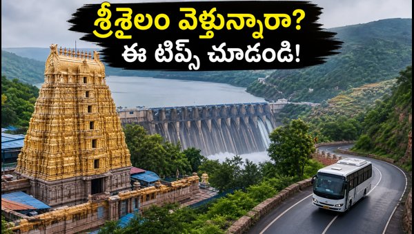 Srisailam Temple Visit Guide 2026: Darshan Timings, Crowd Updates & Travel Tips Srisailam Temple Visit Guide 2026: Darshan Timings, Crowd Updates & Travel Tips
